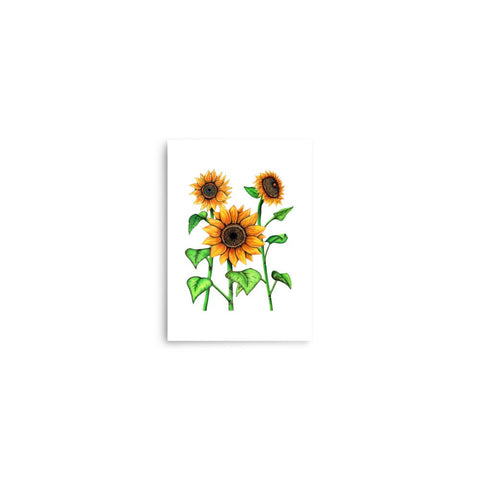 Sunflowers Print - Martin K Designs