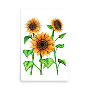 Sunflowers Print - Martin K Designs