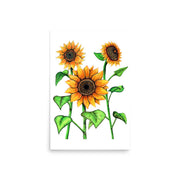 Sunflowers Print - Martin K Designs