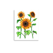 Sunflowers Print - Martin K Designs