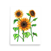 Sunflowers Print - Martin K Designs