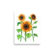 Sunflowers Print - Martin K Designs