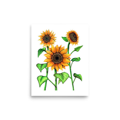 Sunflowers Print - Martin K Designs